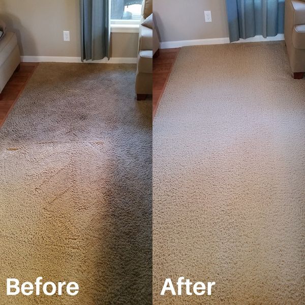 Reliable Professional Carpet Cleaning Service In Hoschton Ga